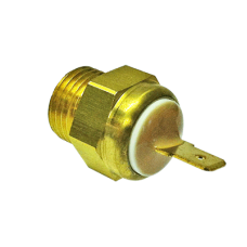 Thermoswitch